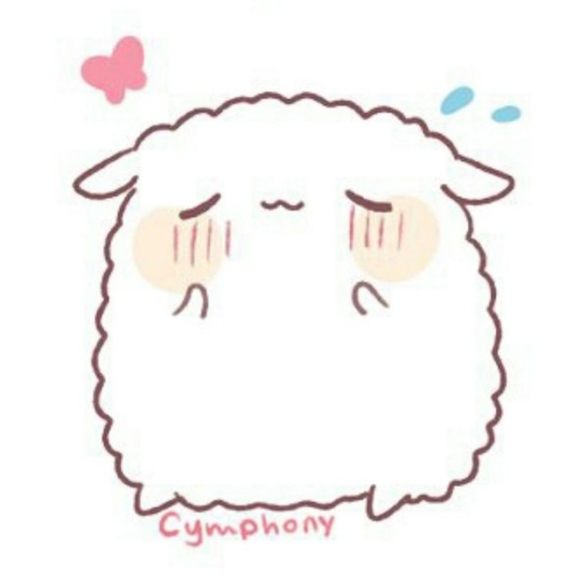 Meet your Posher, Kinsley - Picture 4 of 4